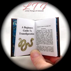 A BEGINNERS GUIDE TO TRANSFIGURATION Illustrated Readable One Fourth Miniature Scale Book
