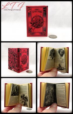 TOBIN SPIRIT GUIDE Illustrated Readable Miniature One Fourth Scale Book