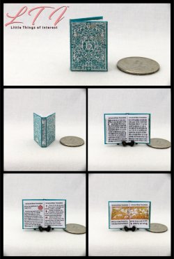 ADVANCED RUNE TRANSLATION Textbook Miniature One Inch Scale Illustrated Readable Book