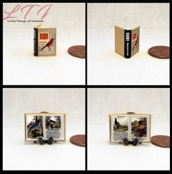 BIRDS ILLUSTRATED Miniature One Inch Scale Readable Illustrated Book