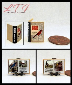 BIRDS ILLUSTRATED Miniature 1/12 Scale Readable Illustrated Book Animal Natural History