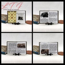 BRONTE SISTERS SET 2 Miniature One Inch Scale Readable Illustrated Books Wuthering Heights Jane Eyre