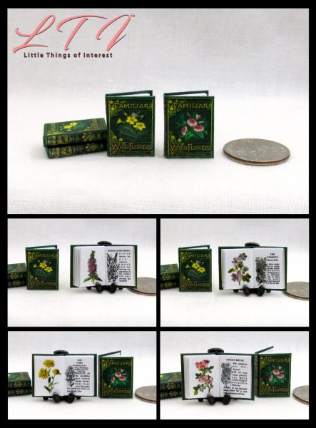 FAMILIAR WILD FLOWERS SET 2 Pc Miniature 1/12 Scale Readable Illustrated Books Garden Botanical Reference