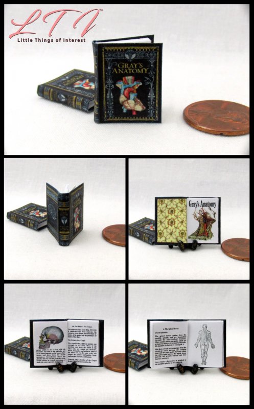 BOOK OF NATURAL HISTORY Dollhouse Miniature Illustrated Readable Book 1:12 Scale 