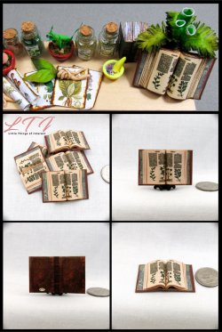 Open Book BOOK OF HERBS Miniature One Inch Scale Medical Herbal Book