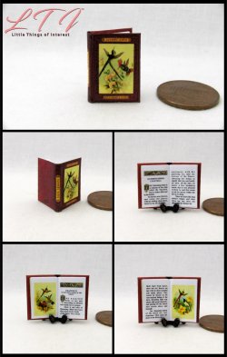HUMMING BIRDS Miniature One Inch Scale Readable Illustrated Book