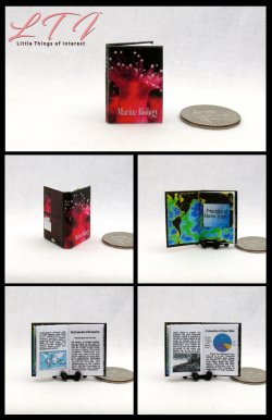 MARINE BIOLOGY Miniature One Inch Scale Readable Illustrated Book