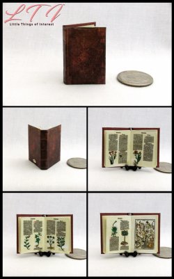 Ortus Sanitatis MEDIEVAL HERBAL MEDICINE Miniature One Inch Scale Illuminated Medical Book