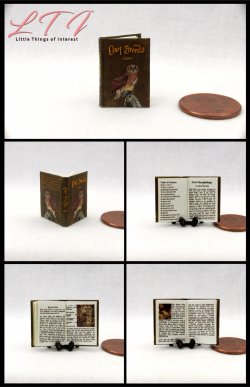OWL BREEDS Magical Textbook Miniature One Inch Scale Illustrated Readable Book