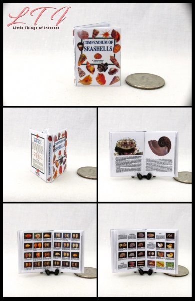 BOOK OF SEASHELLS Miniature 1/12 Scale Readable Illustrated Book Ocean Sea Natural History