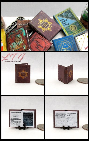 A BEGINNERS GUIDE TO TRANSFIGURATION Textbook Miniature Dollhouse One Inch Scale Illustrated Readable Book Harry Potter