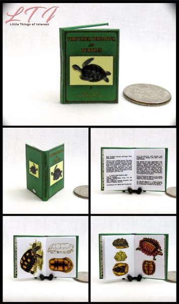 TORTOISES AND TURTLES Miniature 1/12 Scale Illustrated Book Natural History