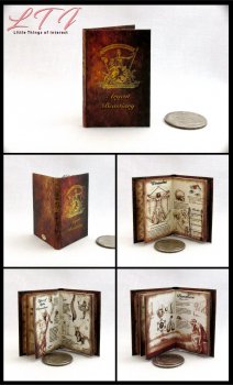 ARGENT BESTIARY Miniature Playscale Readable Illustrated Book