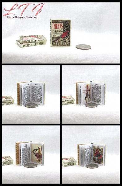 BIRDS ILLUSTRATED Miniature Playscale Readable Illustrated Book