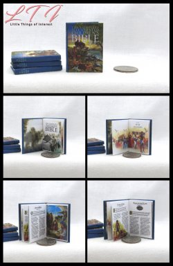 ILLUSTRATED CHILDREN'S BIBLE Miniature Playscale Readable Illustrated Book
