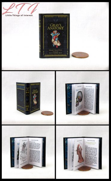 GRAY'S ANATOMY Miniature Playscale Readable Illustrated Medical 1/6 Scale Book