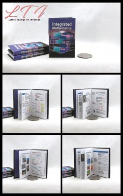 INTEGRATED MATHEMATICS Textbook Miniature Playscale Readable Illustrated Book