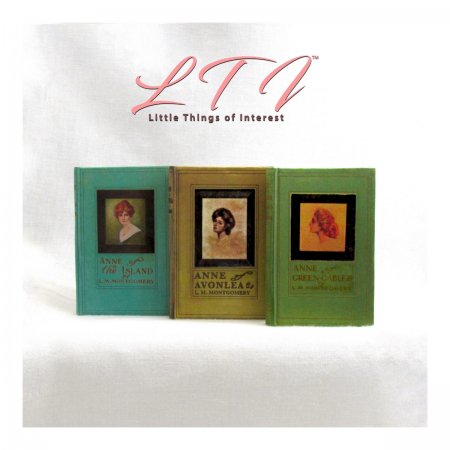 ANNE OF GREEN GABLES SET 3 Illustrated Readable One Fourth 1/4 Scale Miniature Book Anne of the Island Avonlea American Girl Doll Scale