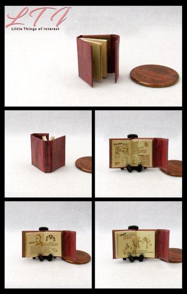 BOOK OF WESEN LORE Grimm Dollhouse Miniature Half Inch Scale Illustrated Book