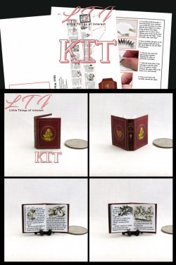 ALICES ADVENTURES IN WONDERLAND Book Kit Printed Pdf and Instruction Tutorial in Miniature One Inch Scale
