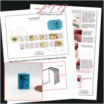 THE FROG PRINCE Book Printed PDF Kit and Instruction Tutorial in Miniature One Inch Scale