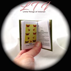 BUTTERFLIES AND MOTHS Illustrated Readable Miniature One Fourth Scale Book